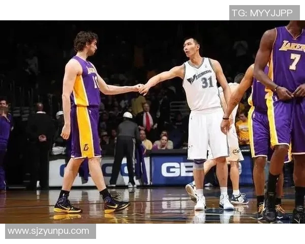 明星篮球与职业篮球的魅力对比与发展趋势解析